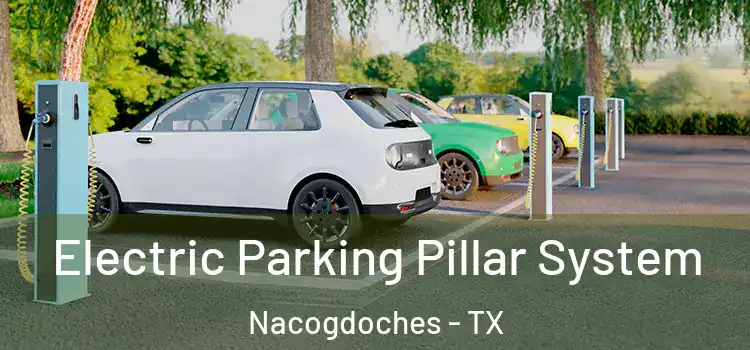 Electric Parking Pillar System Nacogdoches - TX