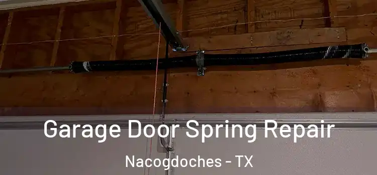 Garage Door Spring Repair Nacogdoches - TX