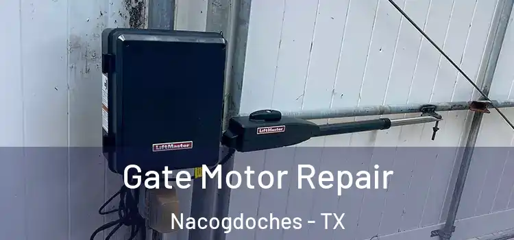 Gate Motor Repair Nacogdoches - TX